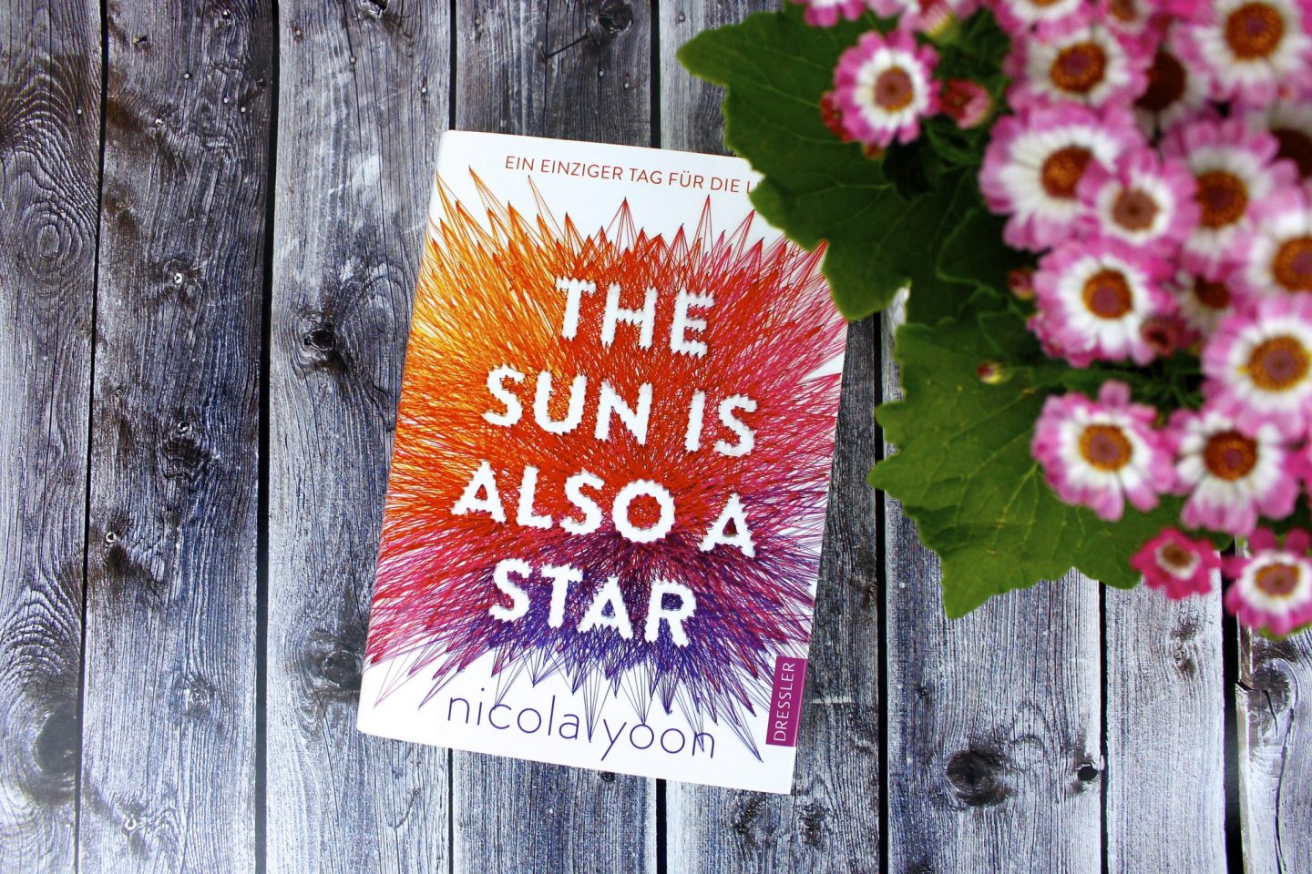 the sun is also a star by nicola yoon summary