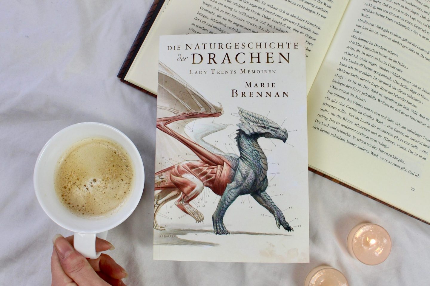 Lady Trent Naturgeschichte der Drachen